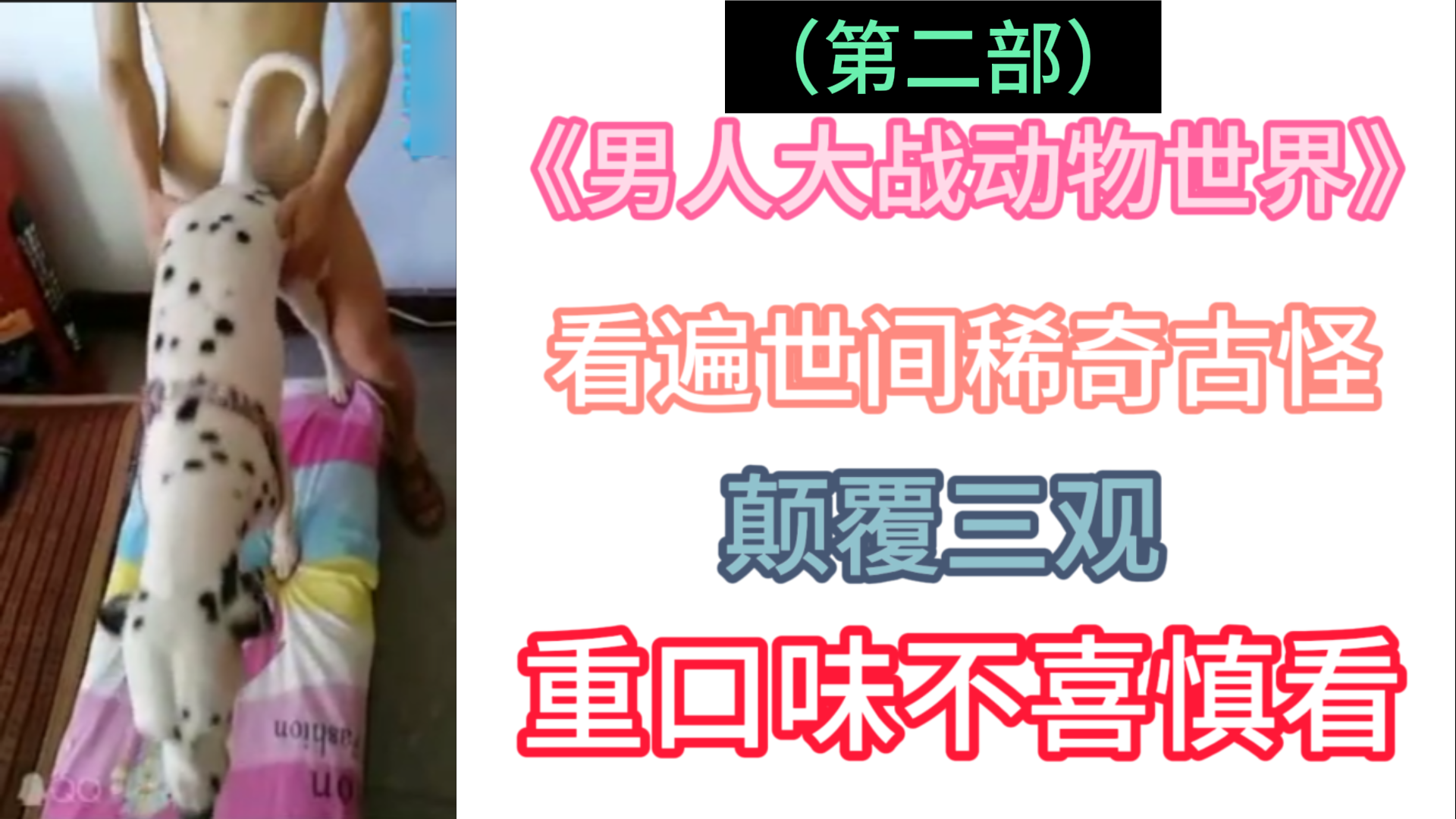【全】《男人大战动物世界》(第二部)